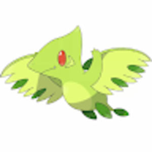 Meet your Posher, Teri